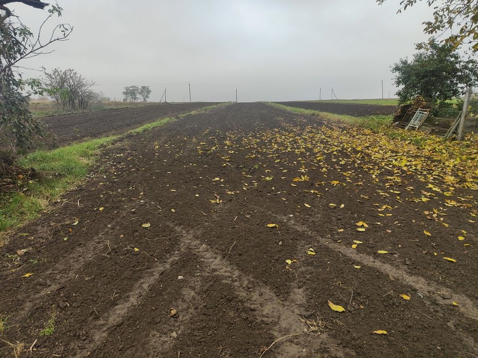 Продається будинок в смт.Ружин