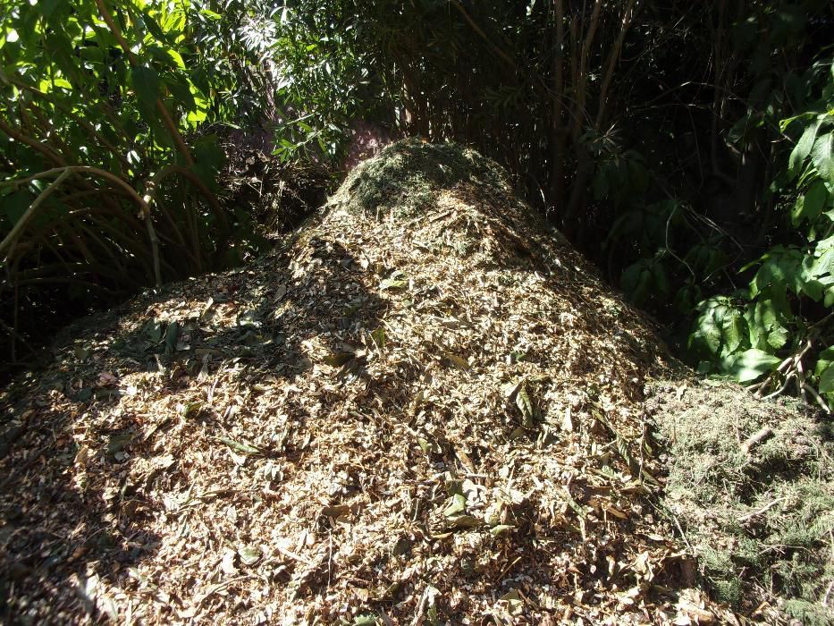 Composto orgânico biológico, residuos florestais, restos de podas