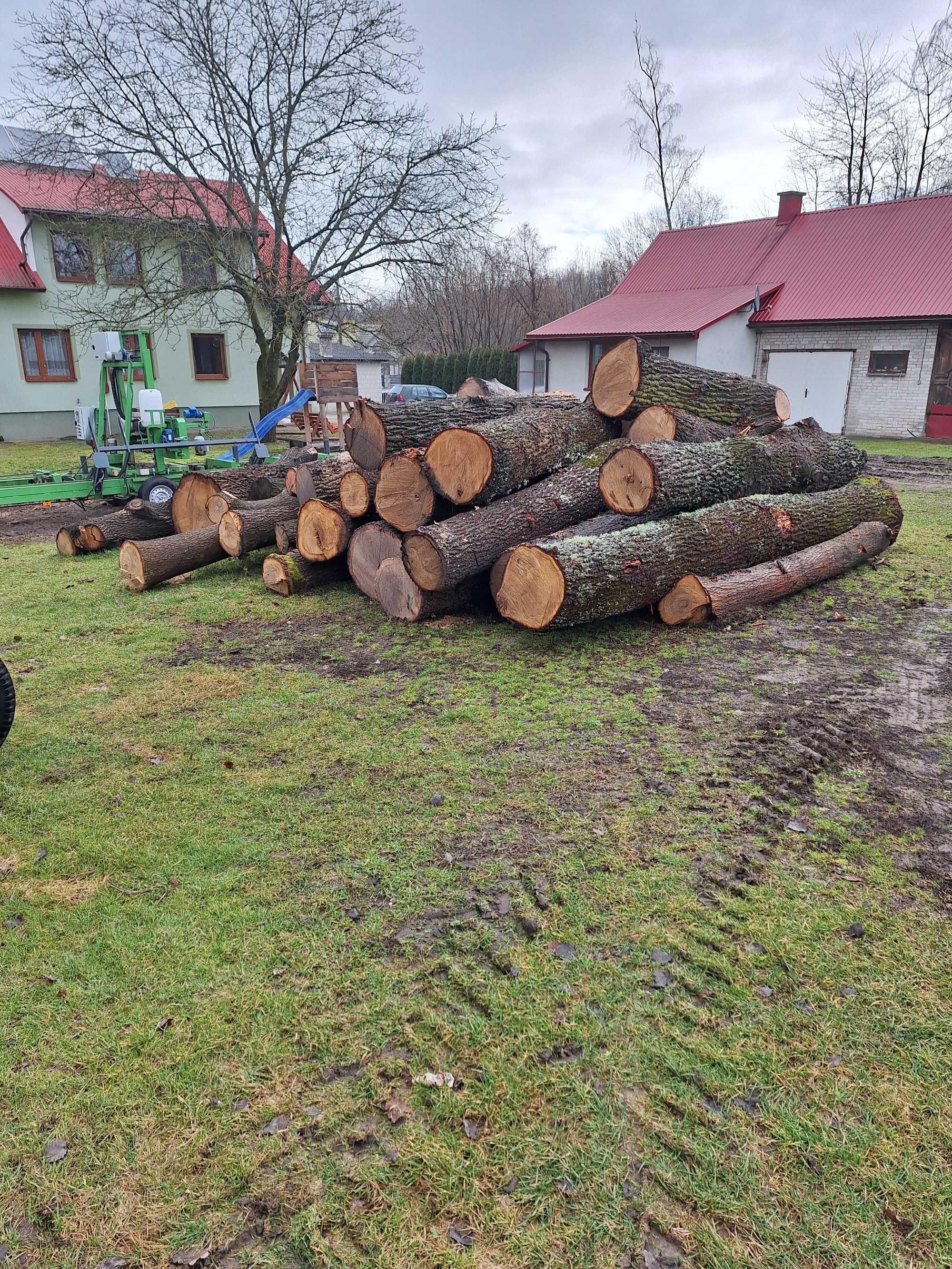 Dąb w stanie okrągłym kłody ok 16-17 m3/kubików