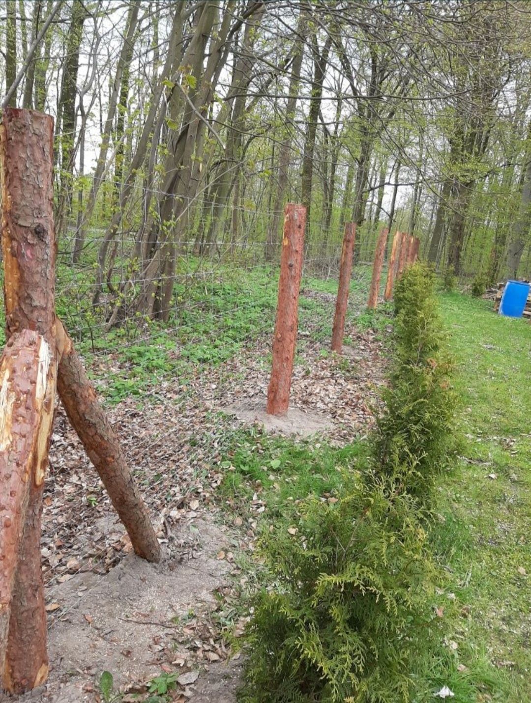 Komplet ogrodzenie z siatki leśnej słupki stemple budowlane tymczasowe