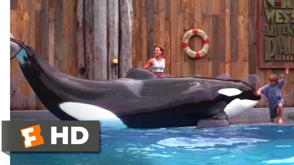 Trilogia LIBERTEM WILLY (Free Willy) Até onde irás por um Amigo?