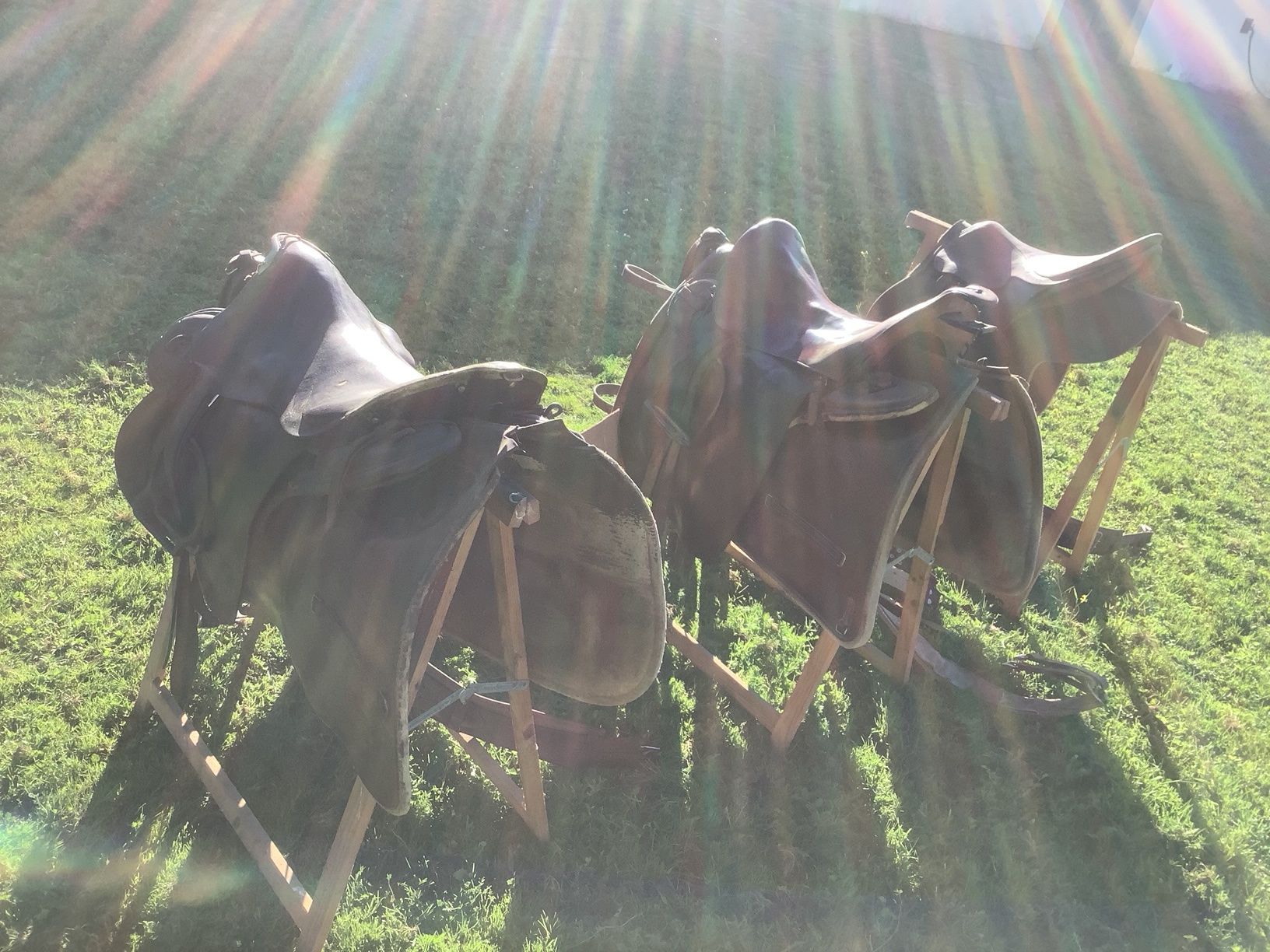 Sela de cavalo de origem da  Polónia