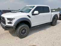 Ford F150 2019 FORD F150 RAPTOR / Benzyna / 4x4 / Automat