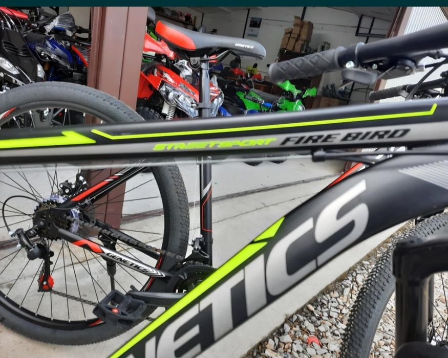 Rower Górski GENETICS rama 19" koła 29"