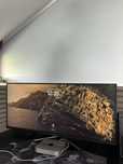 Monitor  Msi Mag 40 Ips Led 155 Hz UWQHD