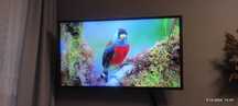 Tv 40' Samsung Full HD, UE40M5002 oraz uchwyt w cenie.