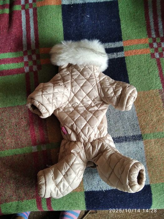 Одежда для собак