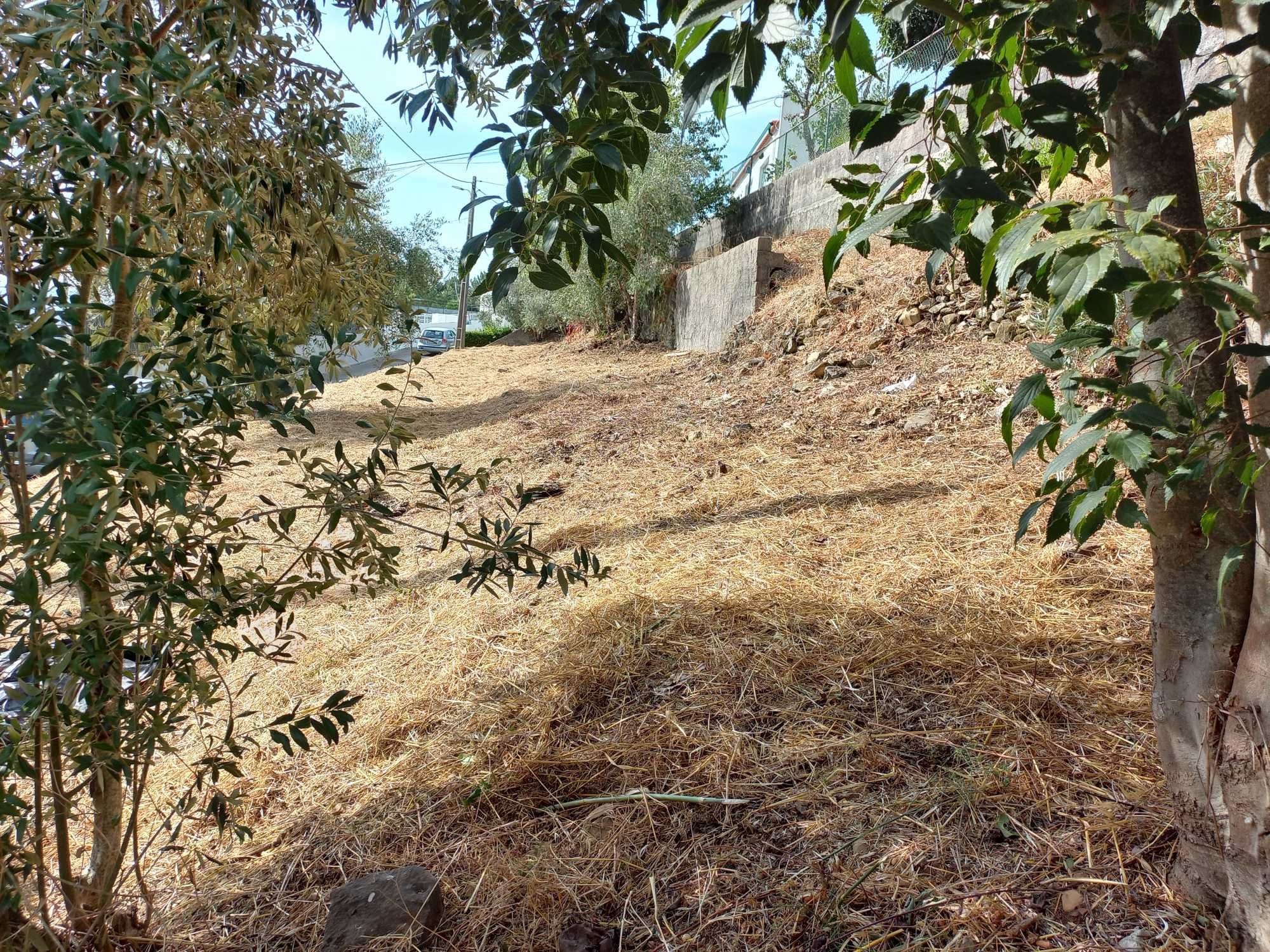 TERRENO Urbano com viabilidade para construção