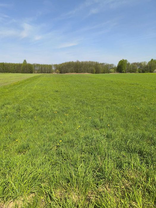 działka rolno-budowlana na sprzedaż