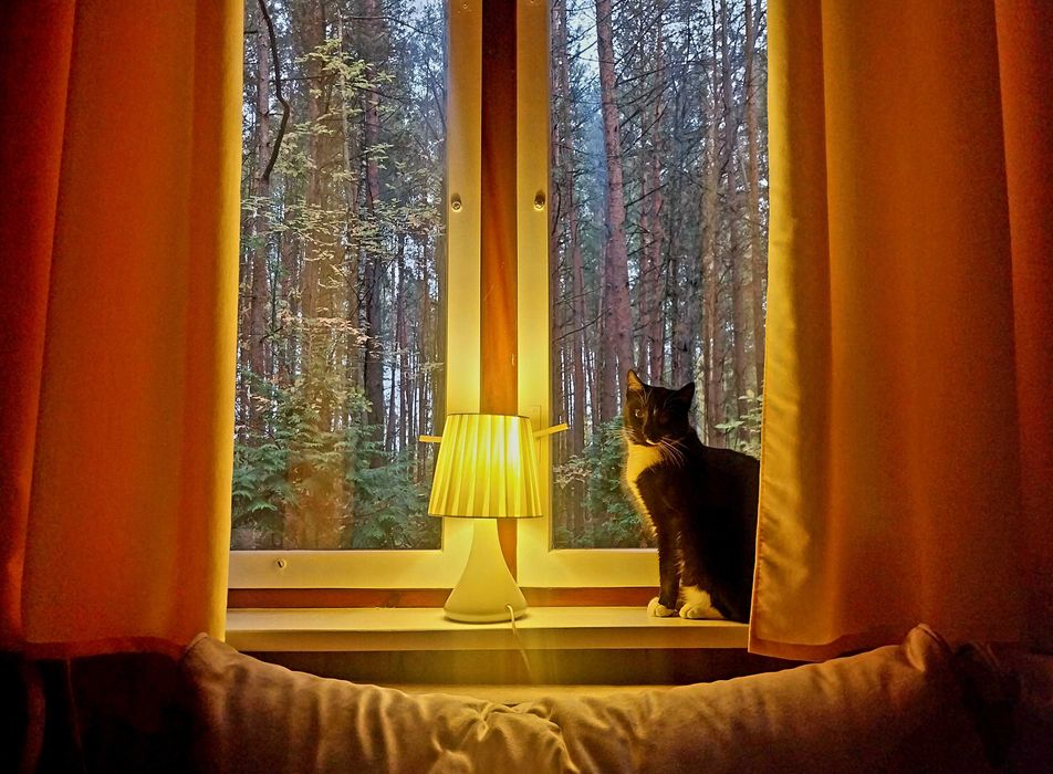 Leśno-Hawajski masaż Lomi Lomi