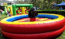 Mechaniczny dmuchany byk rodeo symulator western country