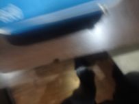 Laktator elektryczny Lovi