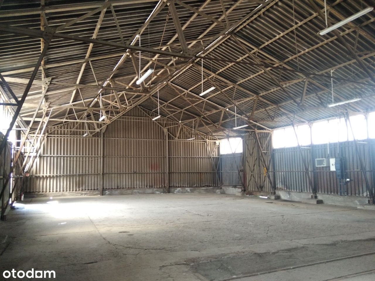 Bez prowizji, magazyn 295,04 m² Górczyn, Hallera