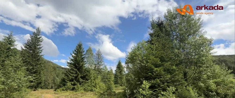 Продається земельна ділянка в с. Стара Гута