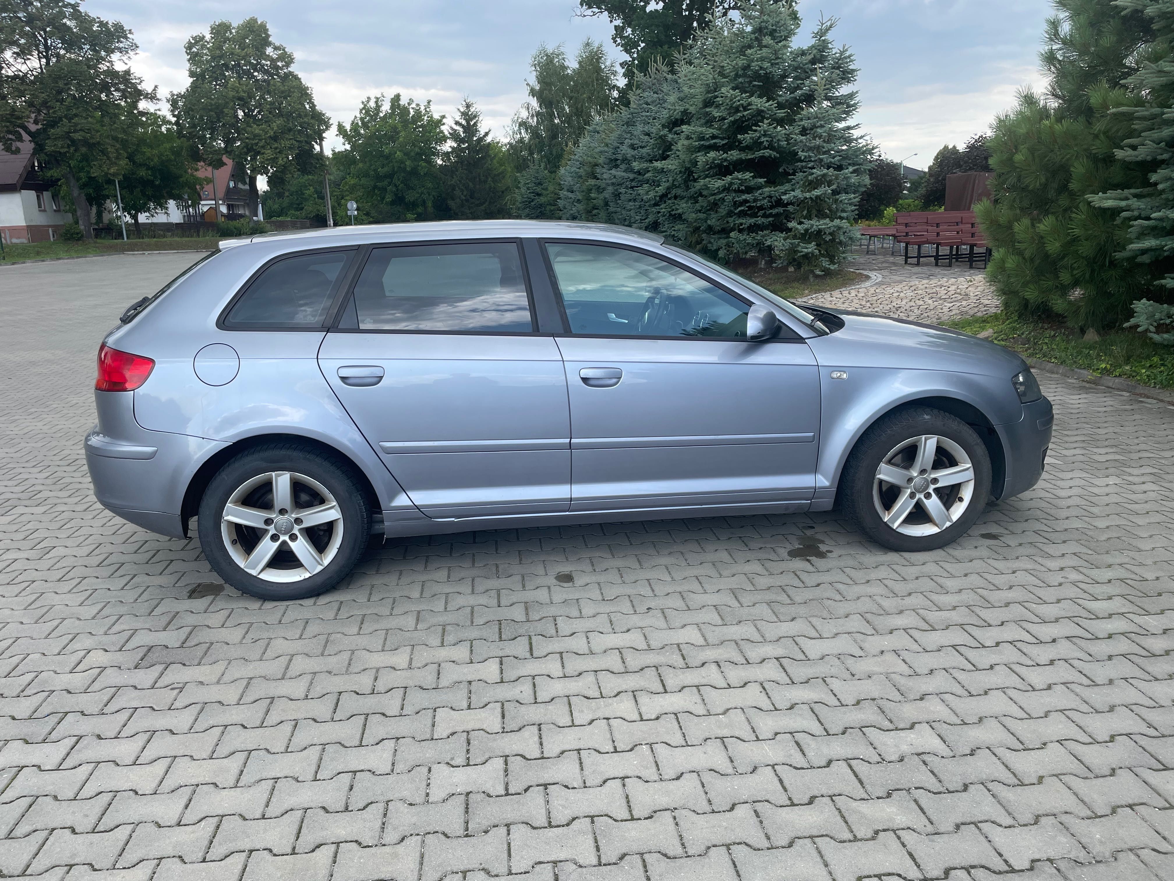 Audi A3 8P 2005 r 1.9 TDI