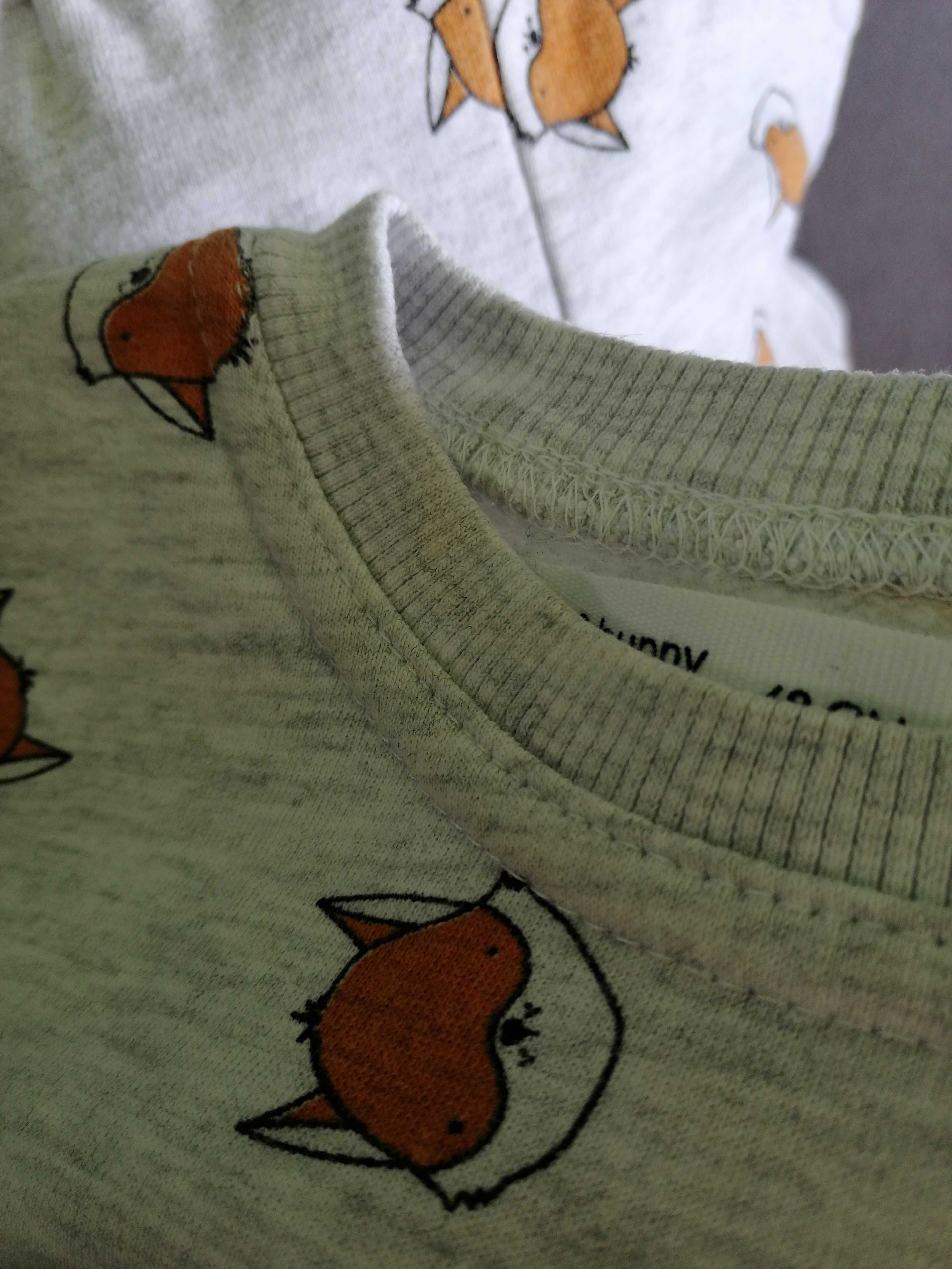 Komplet dresowy, bluza+spodnie Sinsay, Fox & Bunny, rozmiar 62/68