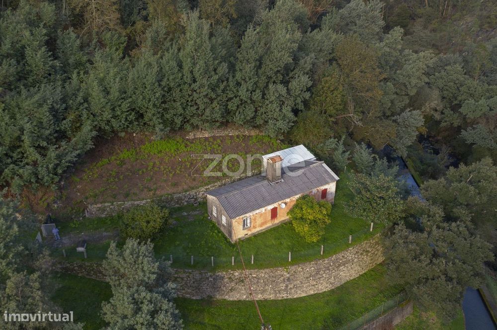 Quinta com 4ha de terreno, junto ao Rio Caima, Oliveira de Azeméis