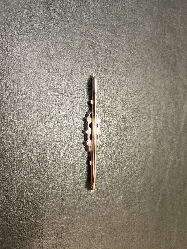 Alfinete de Senhora Prata e Granadas
