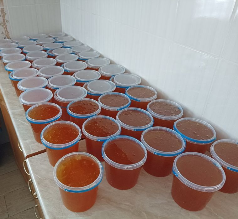 Мед 2024, першотравневий