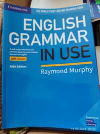 English Grammar in Use Raymond Murphy.