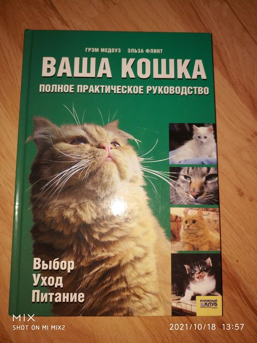 Книги Кошка магическая защита и привлечение удачи.