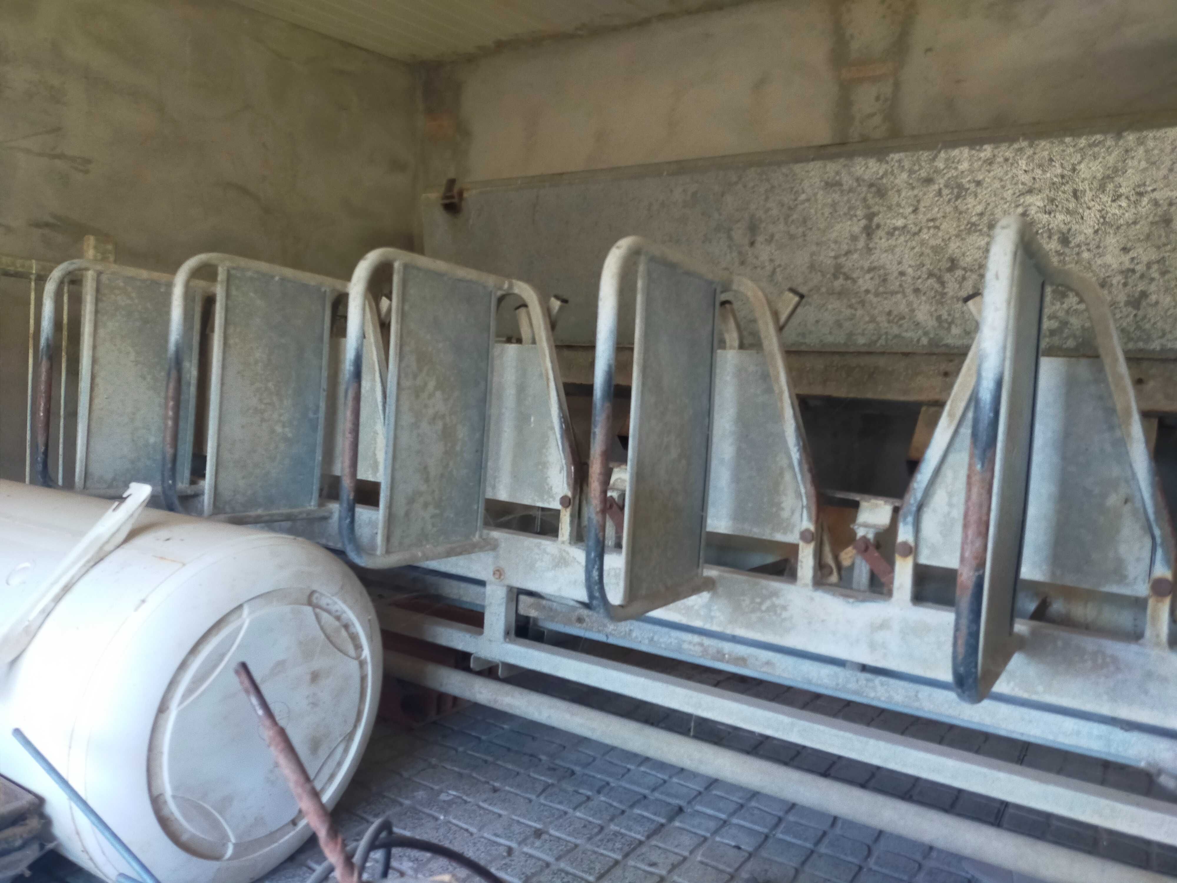 Maquina de ordenhar ovelhas