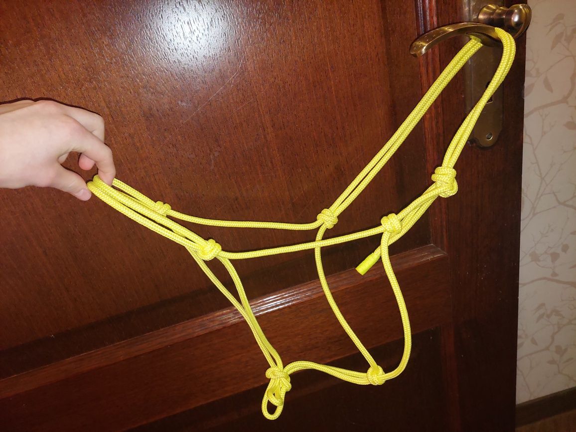 halter dla konia cob