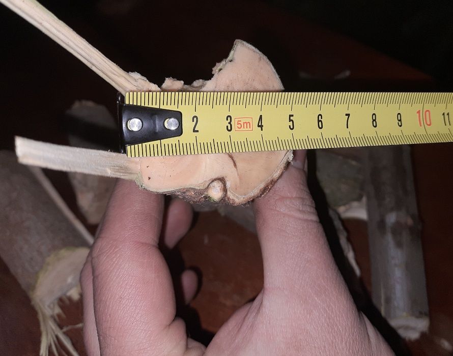 Измельчитель. Измельчитель веток Подрібнювач гілок.