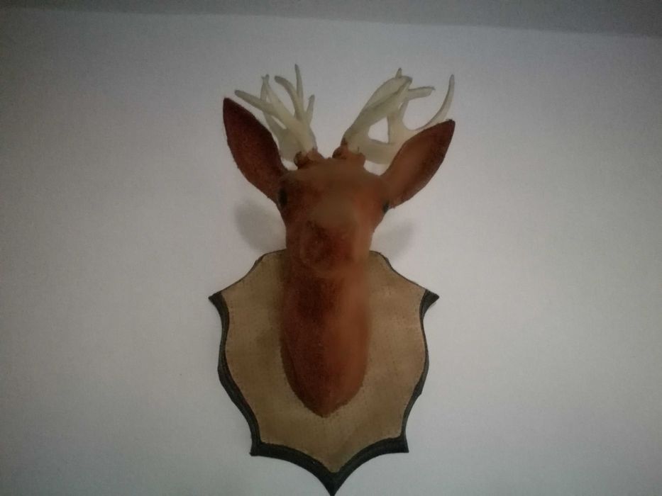 Jelonek wiszacy z porożem