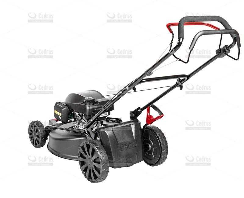 Kosiarka spalinowa Cedrus KS56S-H silnik HONDA GCV200