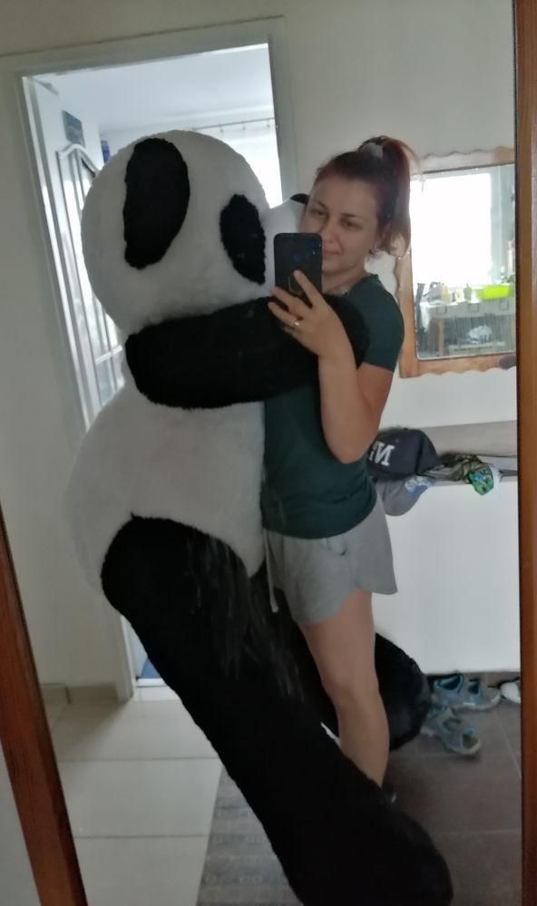 Ogromny miś panda