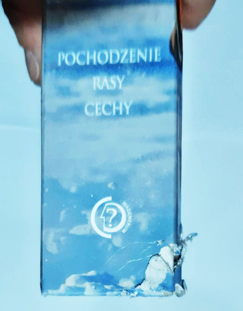 Konie pochodzenie rasy cechy CC43