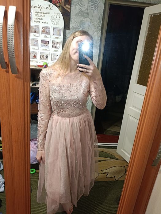 Пудрова ніжна святкова сукня з фатином