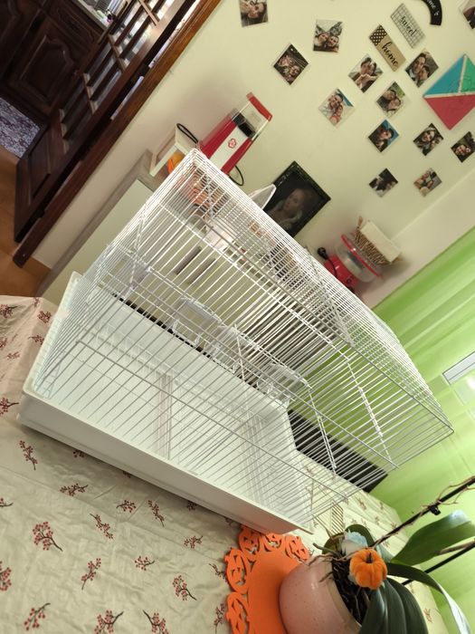 Vendo gaiola nova