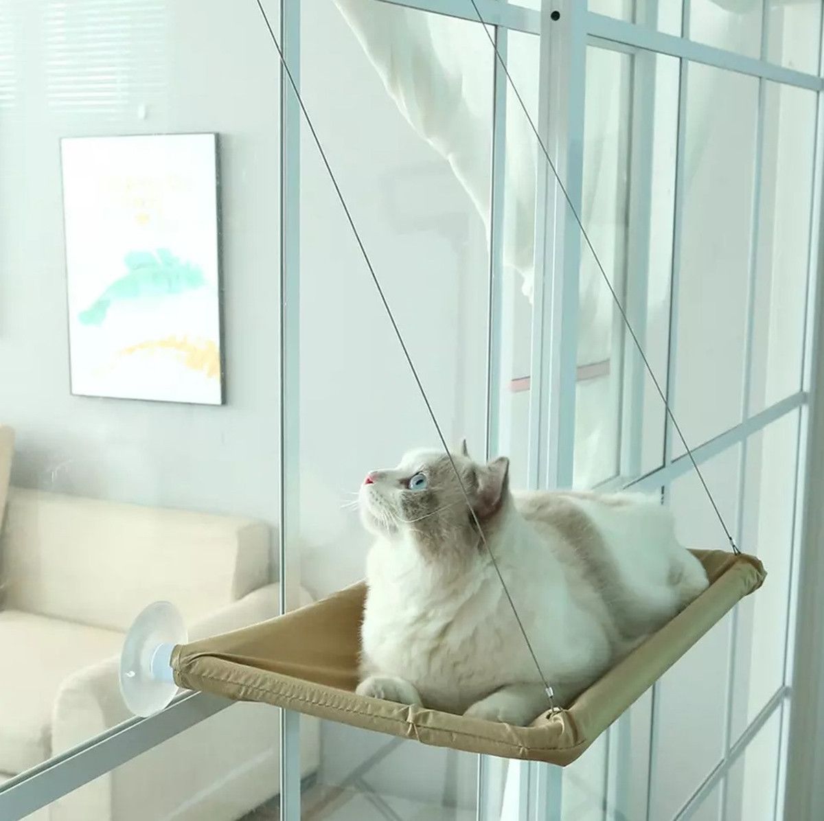 ZW16 Hamak - półka wisząca na okno dla kota