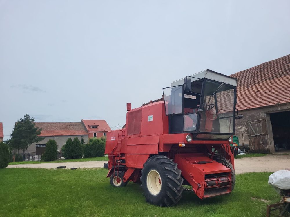 Bizon, stan dobry