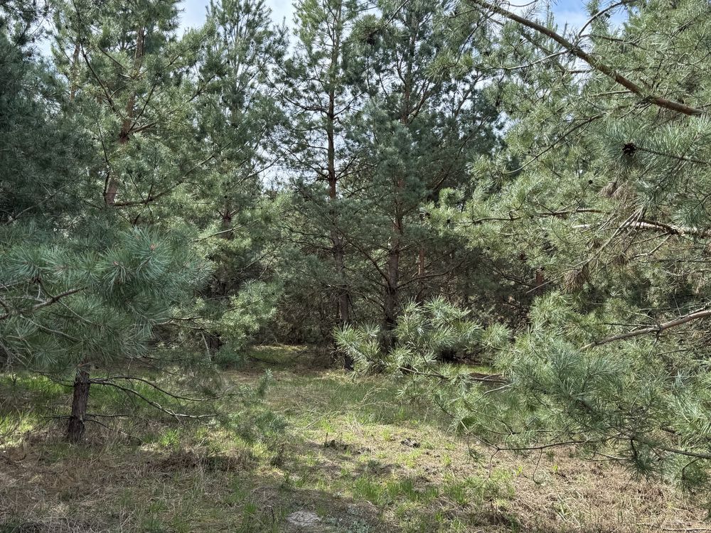 Земельна ділянка.Терміново!!! 7,5 га! Калинівка.