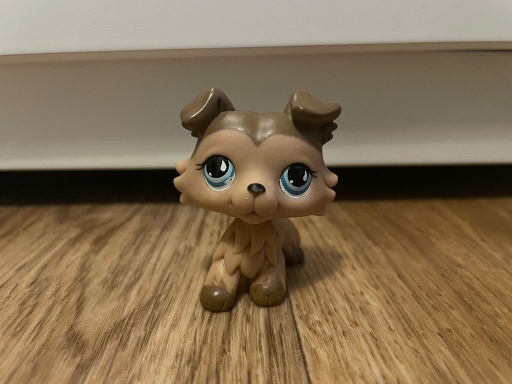 LPS collie piesek