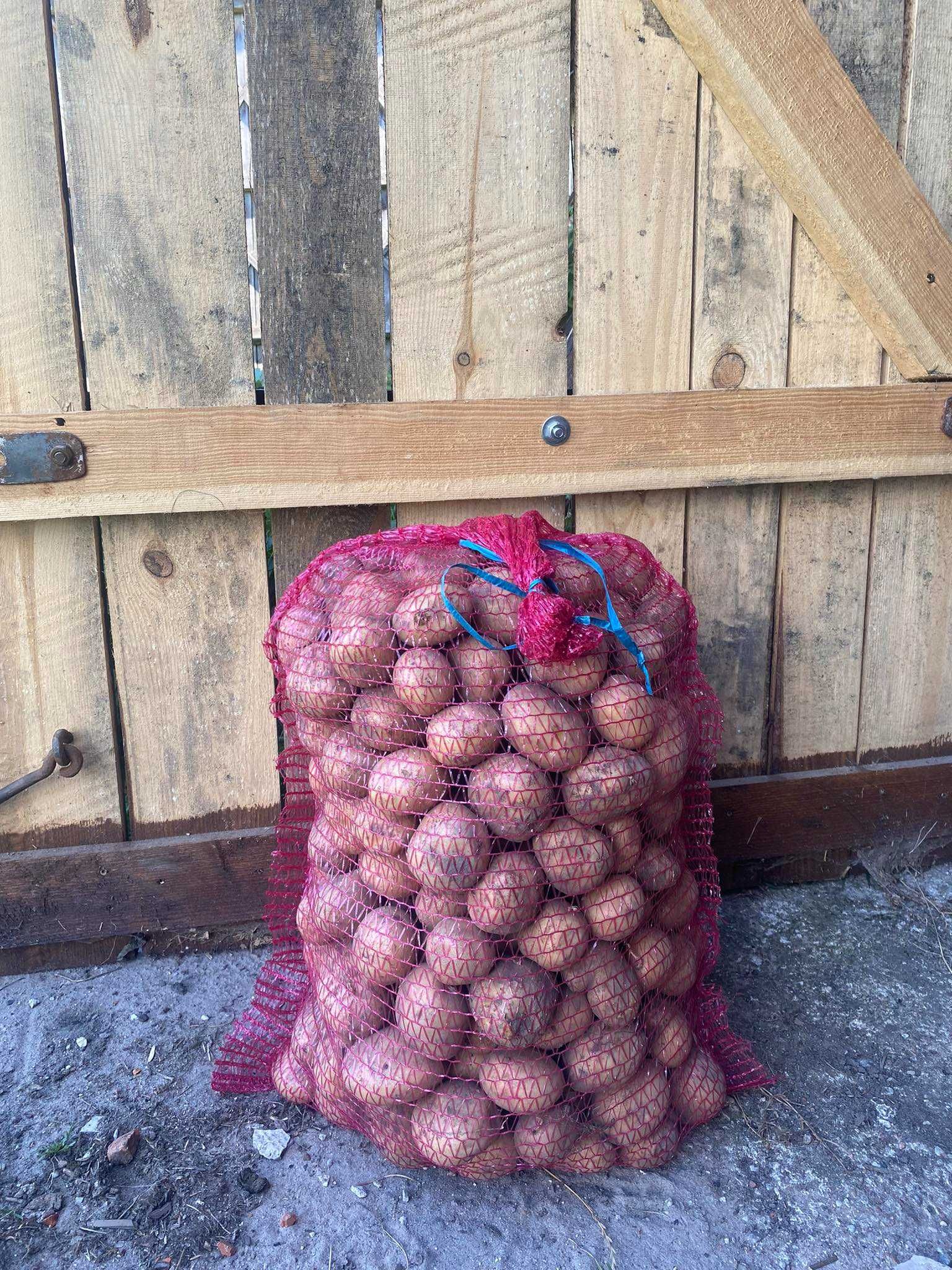 Sprzedam ziemniaki 2 zł kilogram