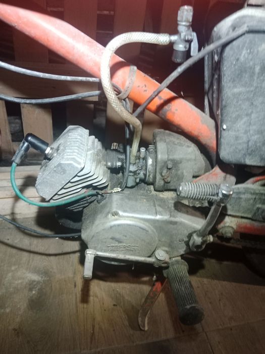 Ogar 205 opłacony zarejestrowany