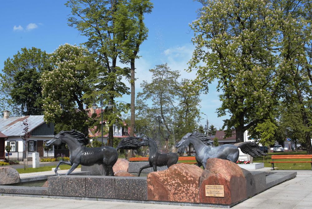 Do wynajęcia apartament w centrum Janowa Podlaskiego, blisko stadniny
