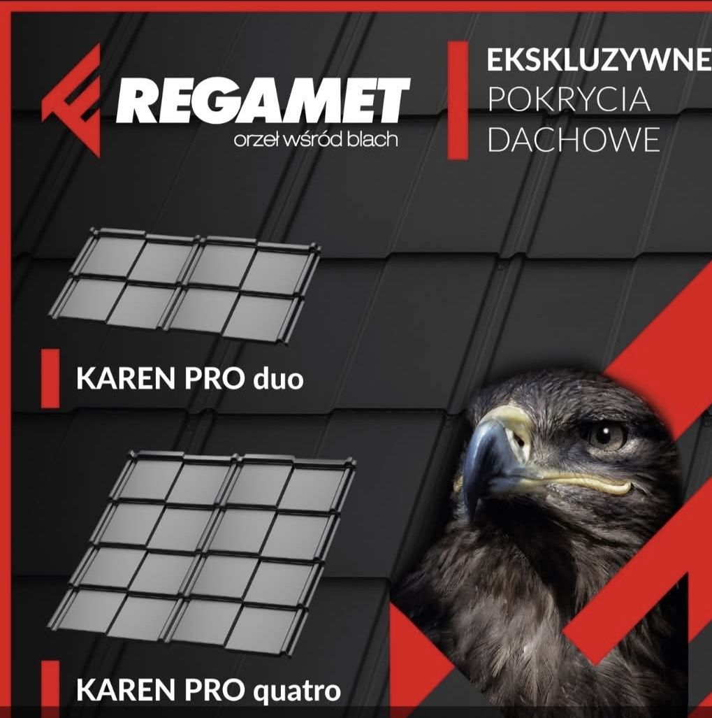 Blachodachówka modułowa PANEL EGERIA