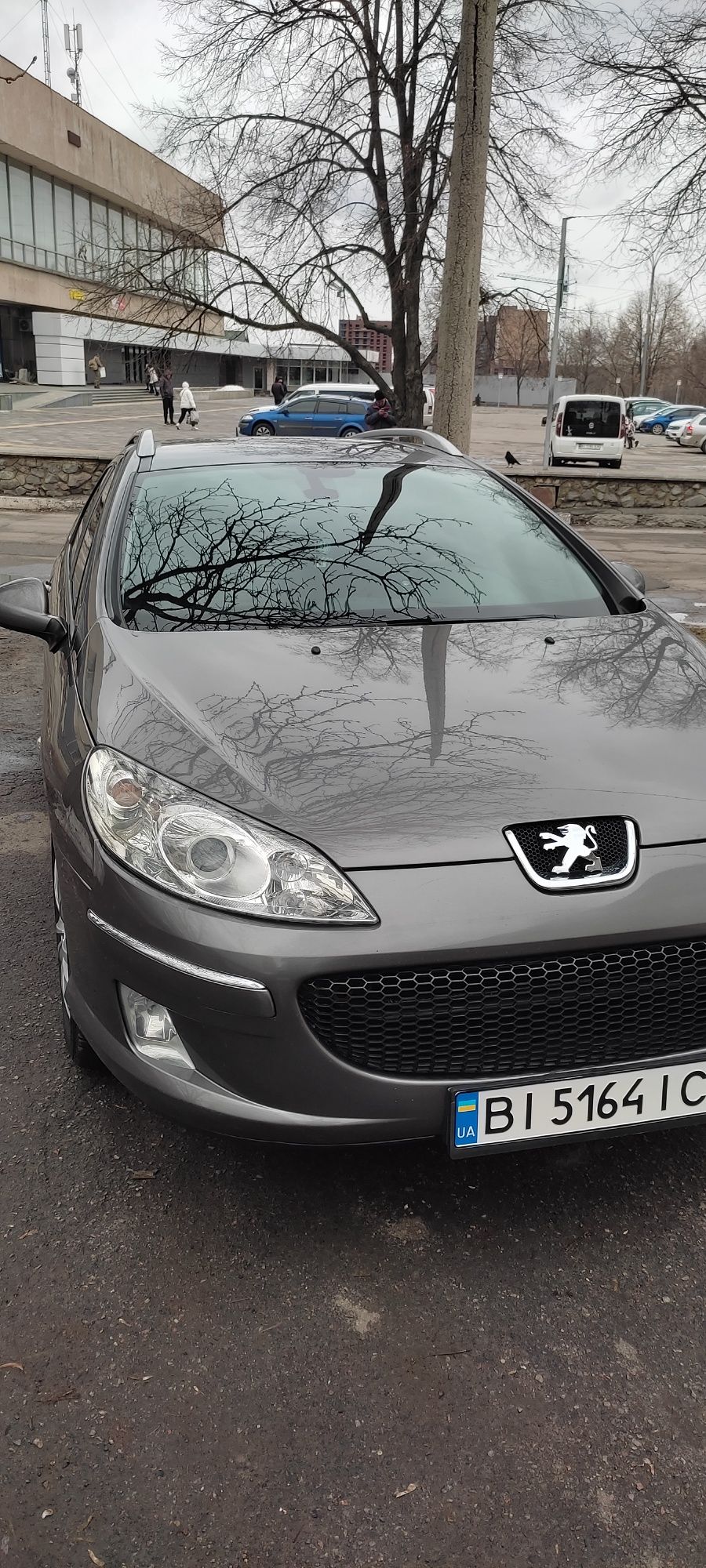 Peugeot 407 sw 2010
