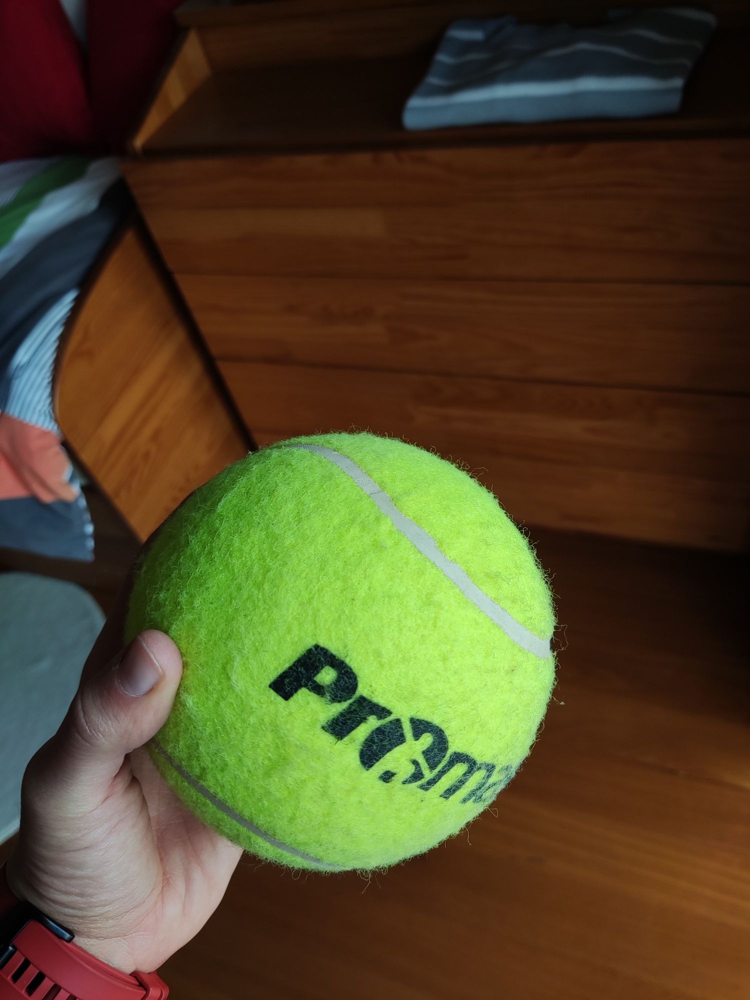 Bola Promaster (tamanho superior à de tenis)