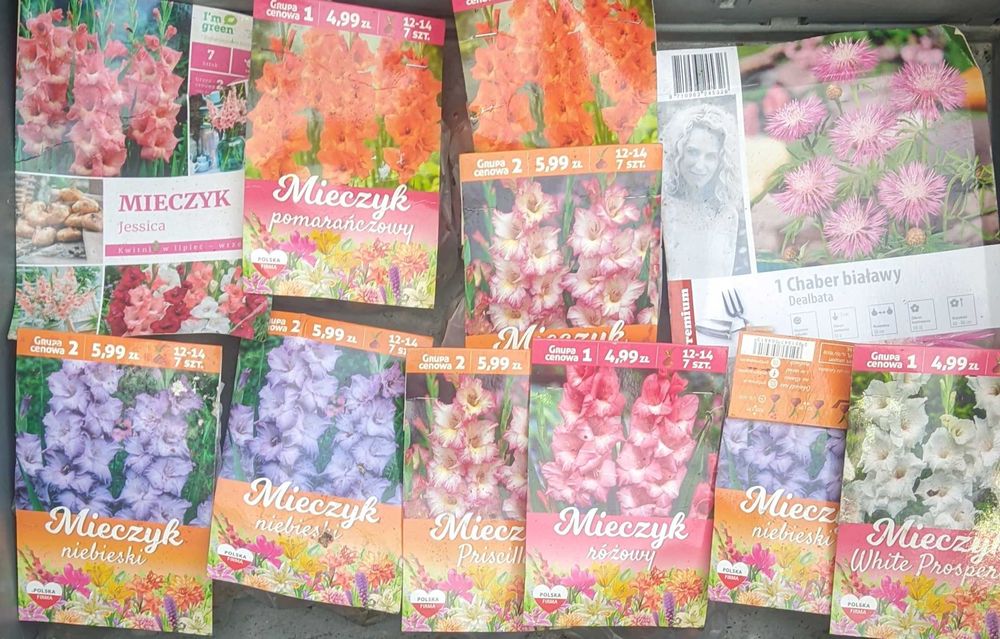 Cebulki mieczyki dalie frezje kanna byliny bulwy cebule mix 64 opakowa