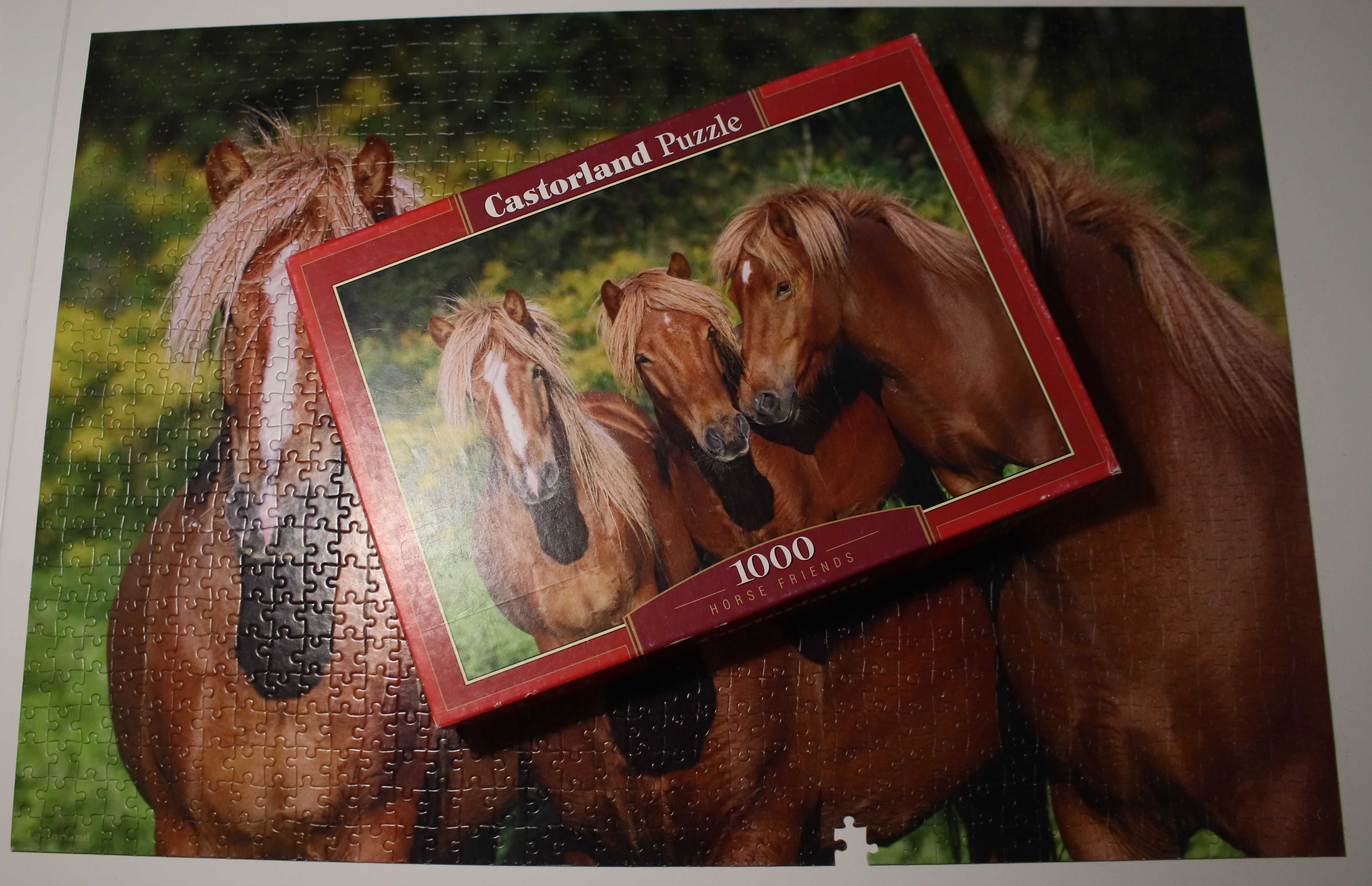 puzzle 1000 el Castorland konie - jeden brak