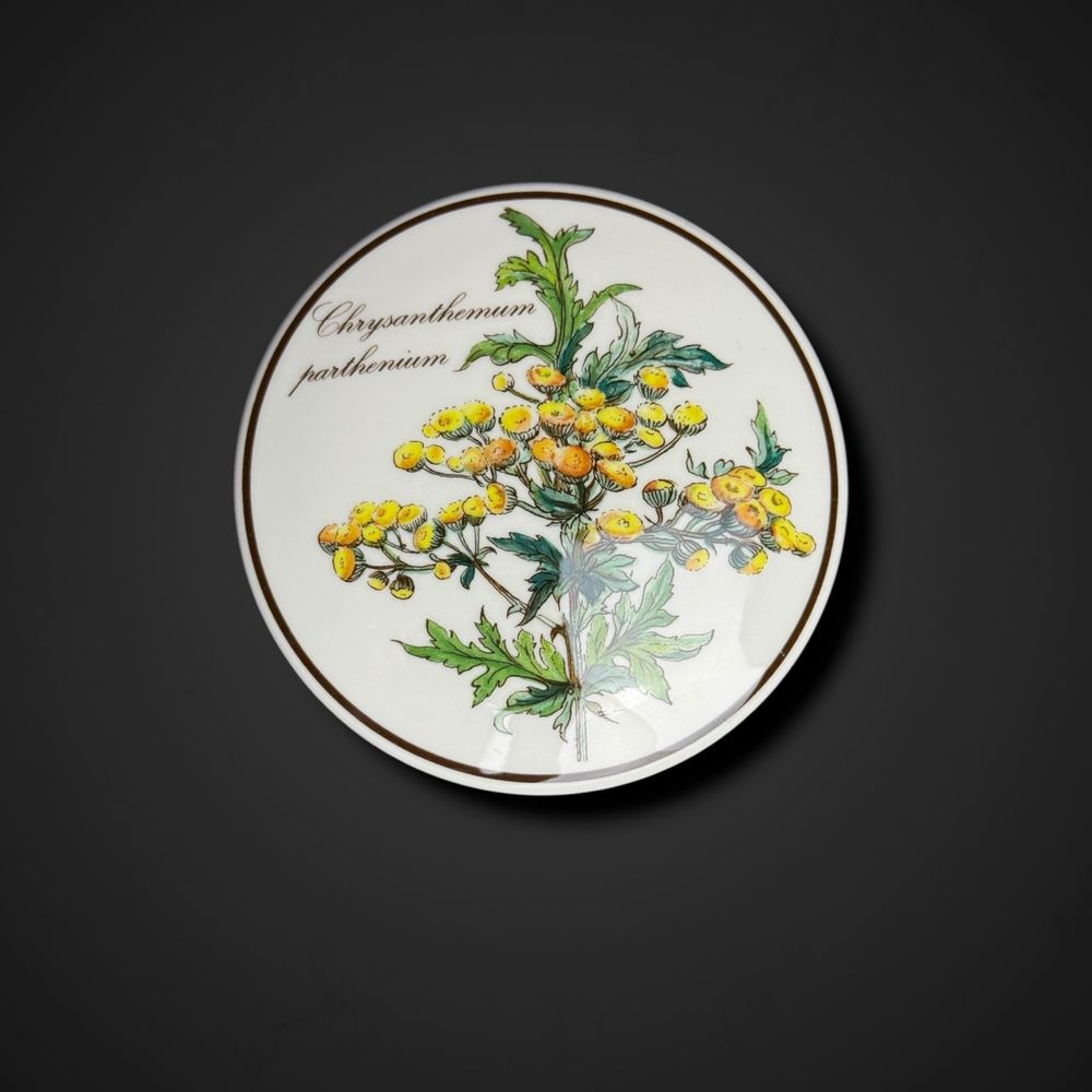 Puzderko botanica Villeroy & Boch Luxembourg złocień B51/042620