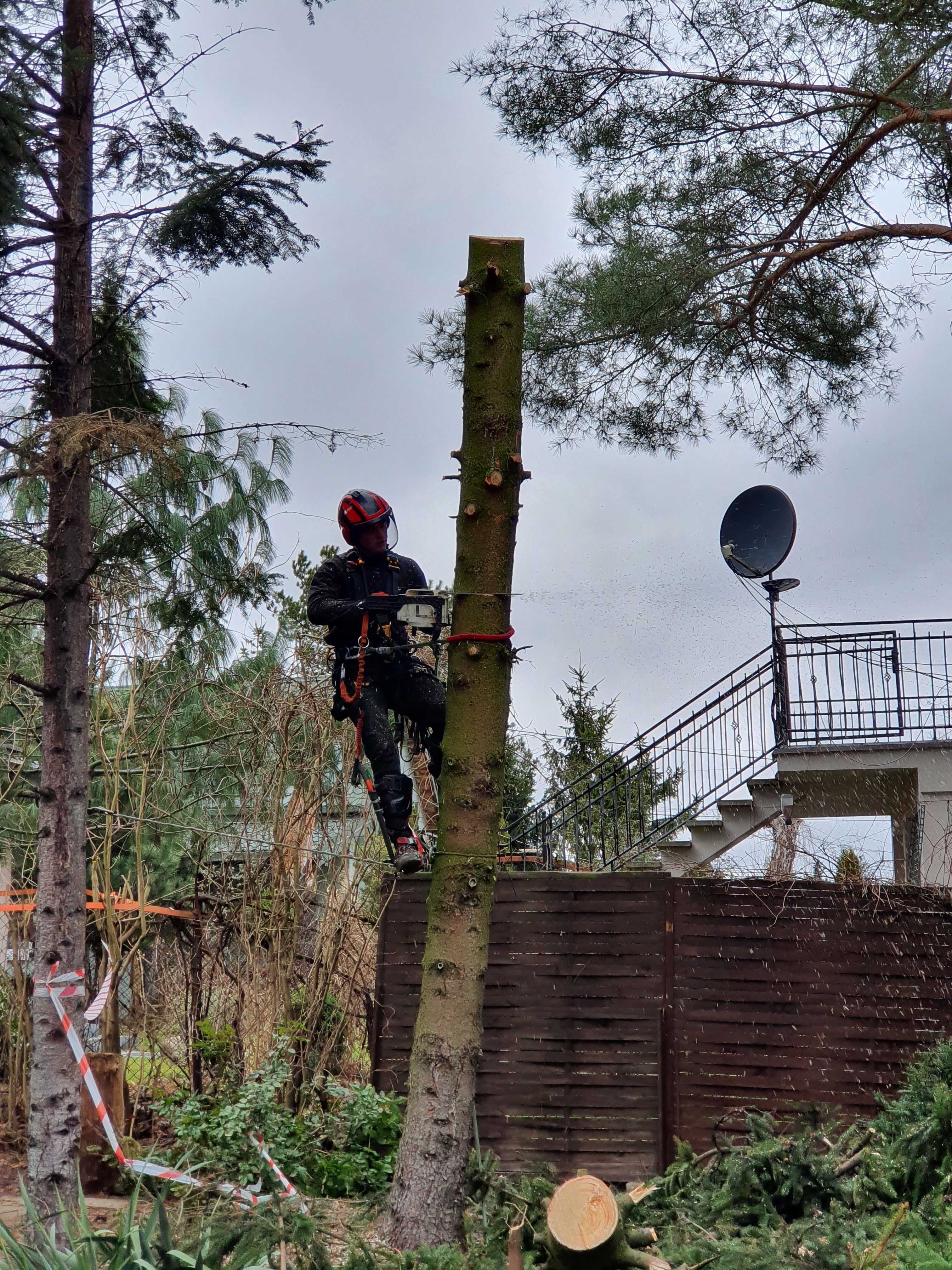 wycinka drzew trudnych,. Arborysta, usługi rębakiem. Rębak