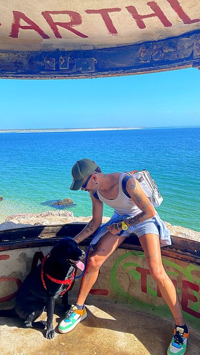 Passeador de cães (DOG WALKER)