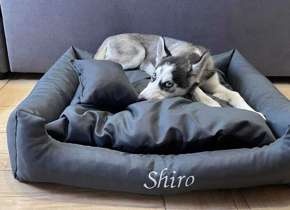 Komfortowe NOWE legowisko dla psa XS-3XL mocny materiał